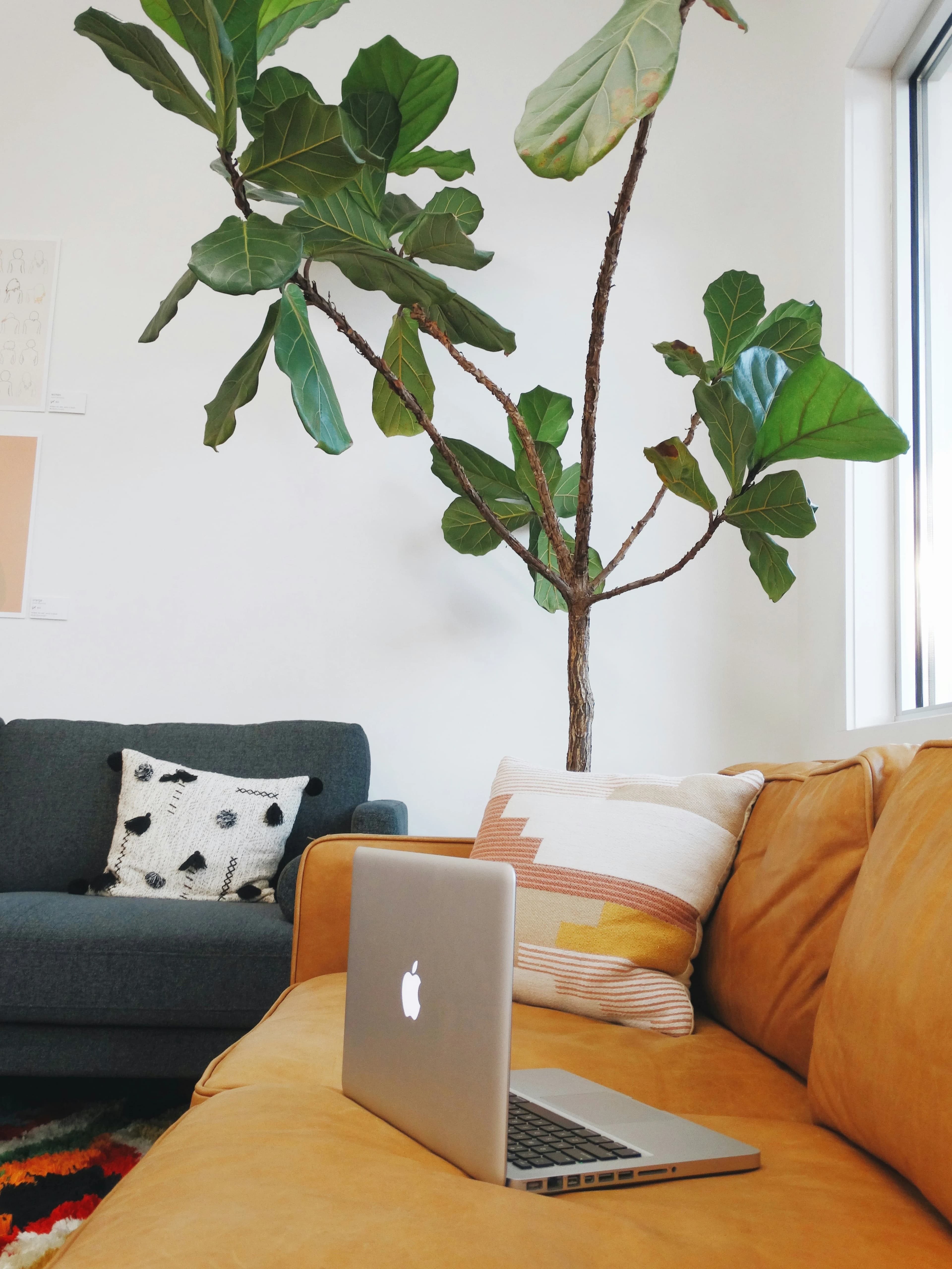 Getting Started with Private Counselling Practice in Hong Kong Free Course